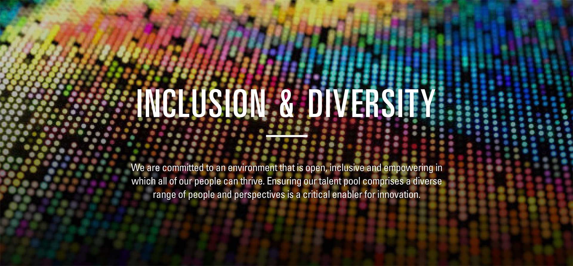 Inclusion and Diversity title